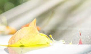 breaking舞步 breaking舞步